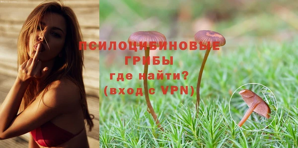 дурь Верея