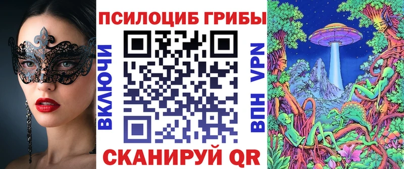 darknet официальный сайт  Комсомольск-на-Амуре  Псилоцибиновые грибы GOLDEN TEACHER  сколько стоит 
